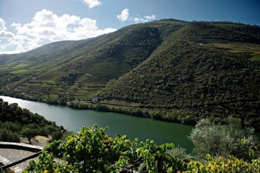 Guided tour of the Douro with river cruise and wine estates’ visit